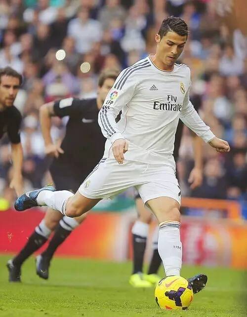 里德利在采 里德利在采